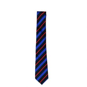 Saltus Tie