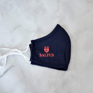 Antibacterial Adult Masks